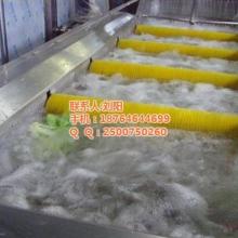 辣椒加工與調味品生產(chǎn)機械專家——中國富樂食品機械廠